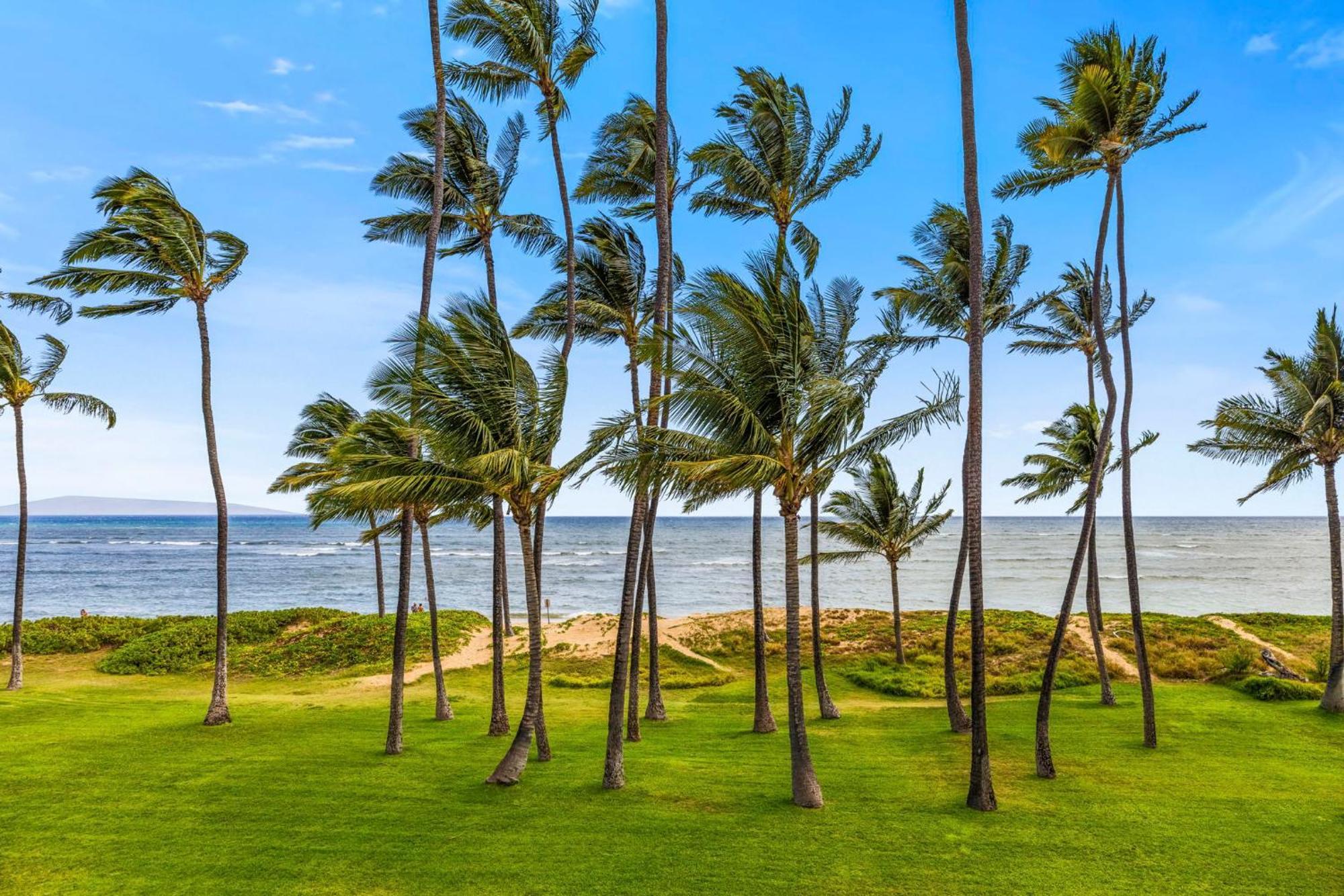 Appartamento Hale Kai O'Kihei 317 Esterno foto